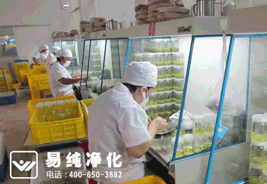 食用菌接种室无菌净化车间